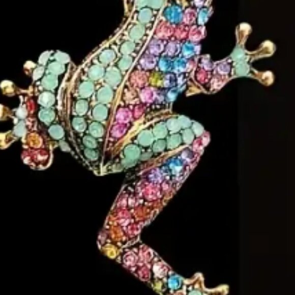 Vibrant Multicolor Rhinestone Frog Brooch - Picture 2 of 3